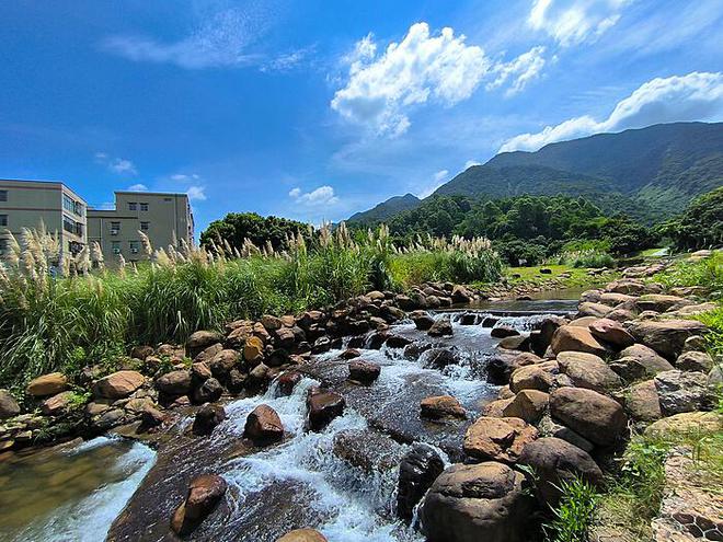 驿站关停快递堆地：管理之疏、现状之困与解决之道